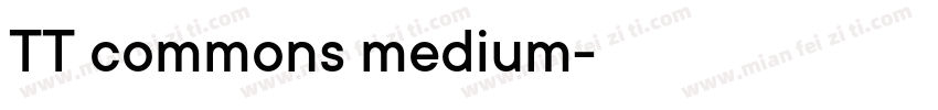 TT commons medium字体转换